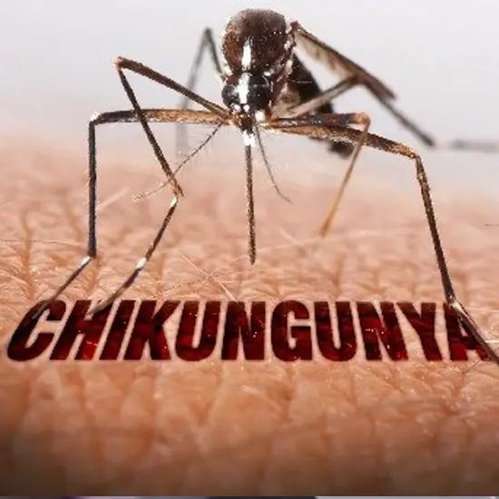 PCR For Chikungunya